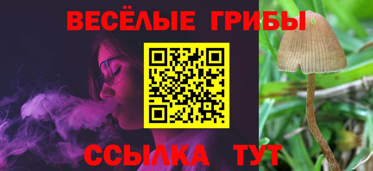 Псилоцибиновые грибы Magic Shrooms  Вход с VPN  Краснознаменск 